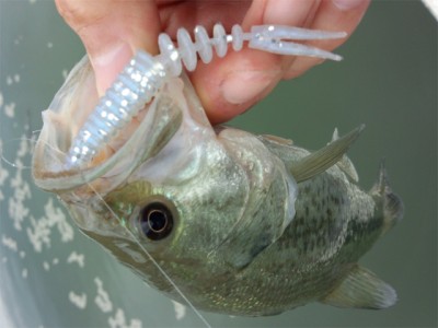 プロショップオオツカ バスフィッシング用品ネット通信販売 ブログ写真 2012/10/05