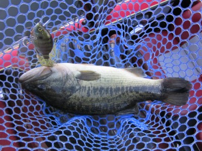 プロショップオオツカ バスフィッシング用品ネット通信販売 ブログ写真 2012/10/21