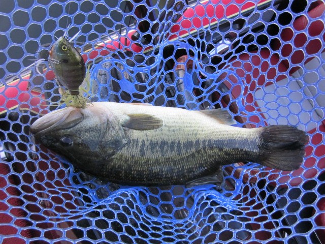 プロショップオオツカ バスフィッシング用品ネット通信販売 ブログ写真 2013/03/30