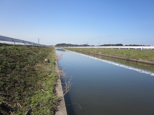 プロショップオオツカ バスフィッシング用品ネット通信販売 ブログ写真 2013/03/30