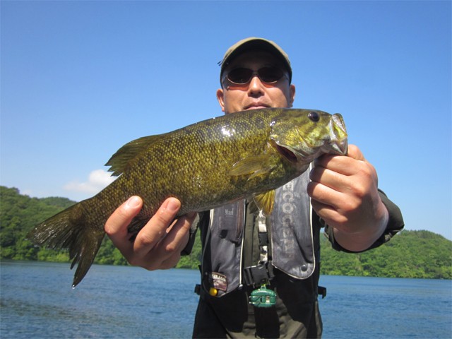 プロショップオオツカ バスフィッシング用品ネット通信販売 ブログ写真 2013/06/14