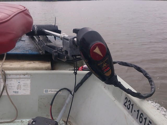 プロショップオオツカ バスフィッシング用品ネット通信販売 ブログ写真 2013/06/20