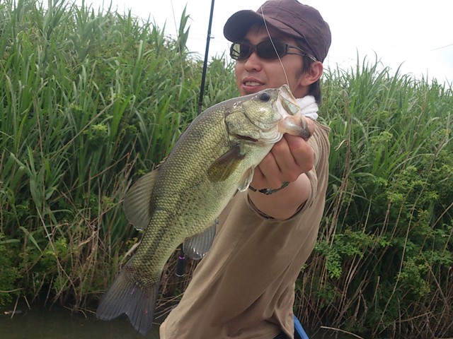 プロショップオオツカ バスフィッシング用品ネット通信販売 ブログ写真 2013/06/20