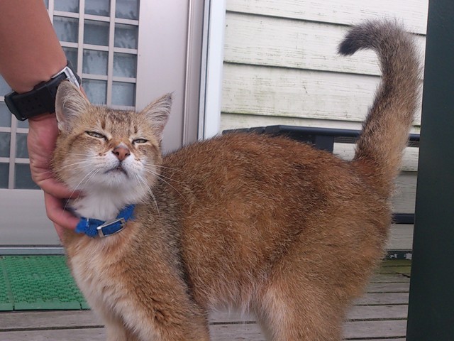 プロショップオオツカ バスフィッシング用品ネット通信販売 ブログ写真 2013/06/20