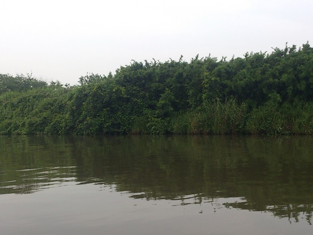 プロショップオオツカ バスフィッシング用品ネット通信販売 ブログ写真 2013/06/20