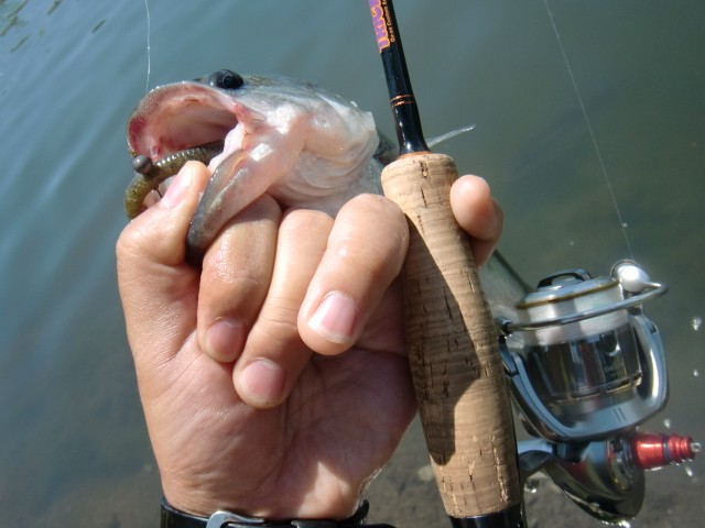 プロショップオオツカ バスフィッシング用品ネット通信販売 ブログ写真 2013/07/14