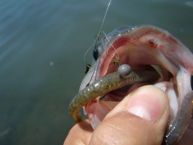 プロショップオオツカ バスフィッシング用品ネット通信販売 ブログ写真 2013/07/14