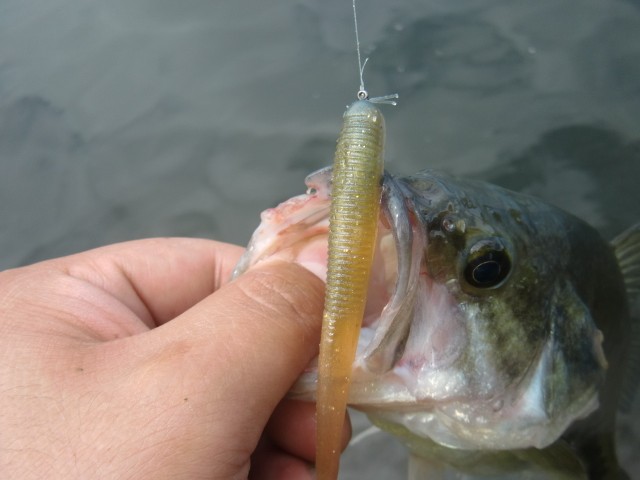 プロショップオオツカ バスフィッシング用品ネット通信販売 ブログ写真 2013/07/14