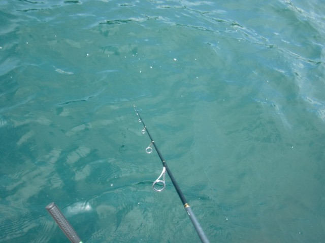 プロショップオオツカ バスフィッシング用品ネット通信販売 ブログ写真 2013/07/14