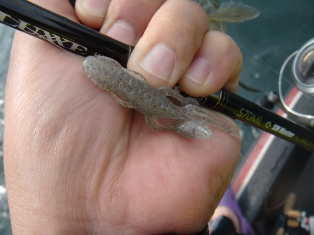 プロショップオオツカ バスフィッシング用品ネット通信販売 ブログ写真 2013/07/14