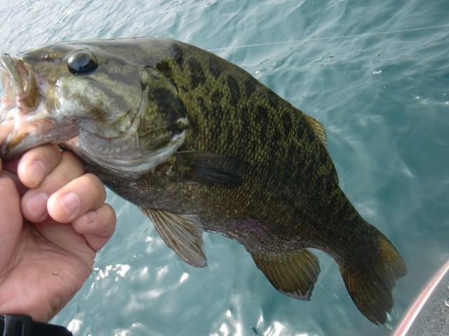 プロショップオオツカ バスフィッシング用品ネット通信販売 ブログ写真 2013/07/14