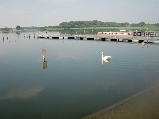 プロショップオオツカ バスフィッシング用品ネット通信販売 ブログ写真 2013/07/15