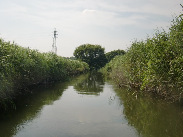 プロショップオオツカ バスフィッシング用品ネット通信販売 ブログ写真 2013/07/15