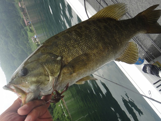 プロショップオオツカ バスフィッシング用品ネット通信販売 ブログ写真 2013/07/31