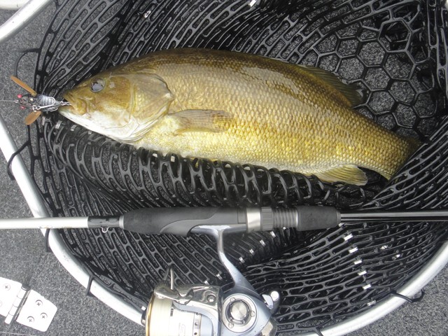 プロショップオオツカ バスフィッシング用品ネット通信販売 ブログ写真 2013/07/31