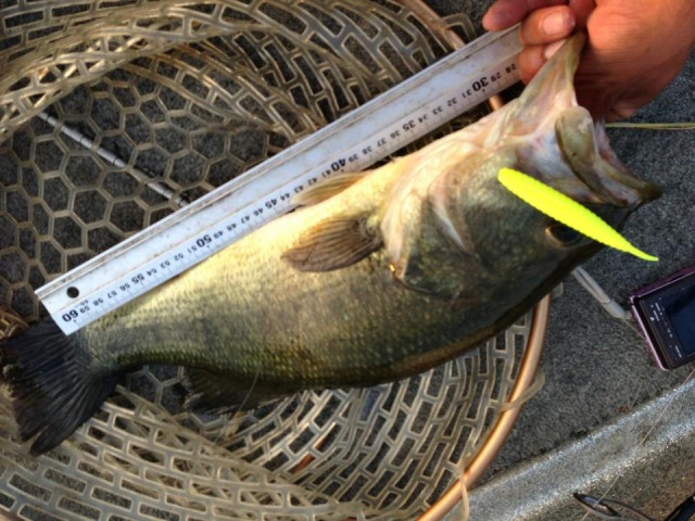 プロショップオオツカ バスフィッシング用品ネット通信販売 ブログ写真 2013/08/10