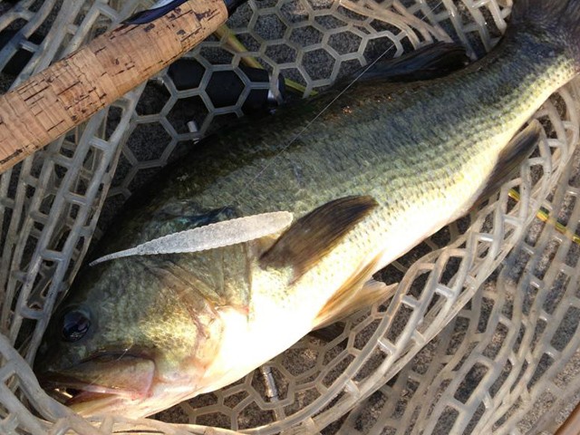 プロショップオオツカ バスフィッシング用品ネット通信販売 ブログ写真 2013/08/10