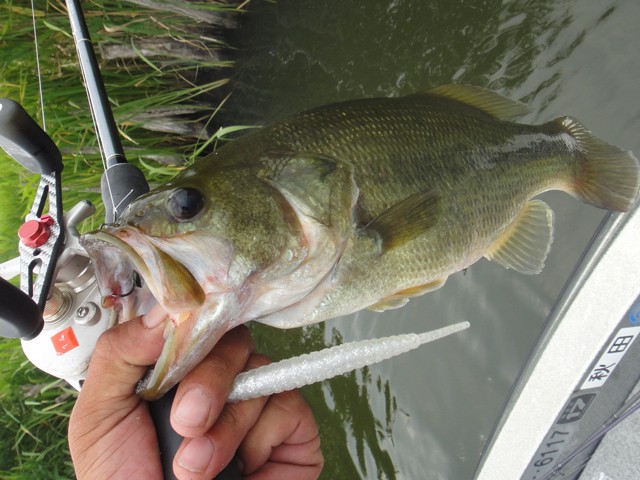 プロショップオオツカ バスフィッシング用品ネット通信販売 ブログ写真 2013/08/10