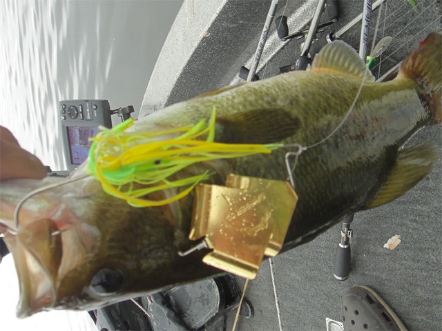 プロショップオオツカ バスフィッシング用品ネット通信販売 ブログ写真 2013/08/25