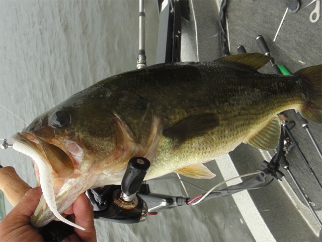 プロショップオオツカ バスフィッシング用品ネット通信販売 ブログ写真 2013/08/25