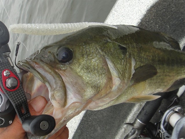 プロショップオオツカ バスフィッシング用品ネット通信販売 ブログ写真 2013/08/25