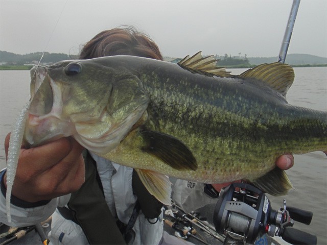 プロショップオオツカ バスフィッシング用品ネット通信販売 ブログ写真 2013/08/25