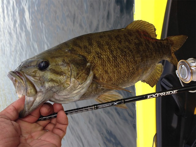 プロショップオオツカ バスフィッシング用品ネット通信販売 ブログ写真 2013/09/05