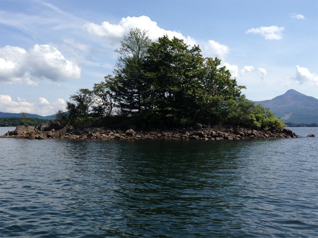 プロショップオオツカ バスフィッシング用品ネット通信販売 ブログ写真 2013/09/05