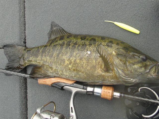 プロショップオオツカ バスフィッシング用品ネット通信販売 ブログ写真 2013/09/05