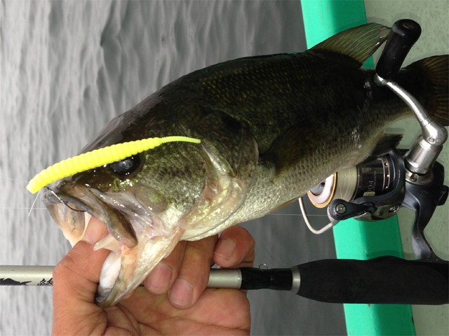 プロショップオオツカ バスフィッシング用品ネット通信販売 ブログ写真 2013/09/11