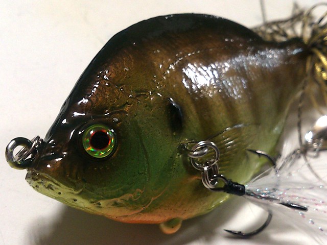 プロショップオオツカ バスフィッシング用品ネット通信販売 ブログ写真 2013/10/05