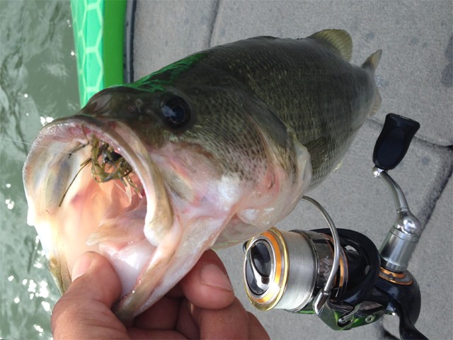 プロショップオオツカ バスフィッシング用品ネット通信販売 ブログ写真 2013/10/10