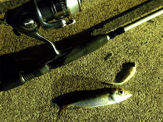 プロショップオオツカ バスフィッシング用品ネット通信販売 ブログ写真 2013/10/10