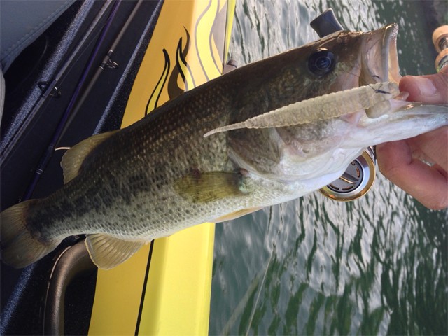 プロショップオオツカ バスフィッシング用品ネット通信販売 ブログ写真 2013/10/10