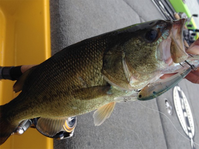 プロショップオオツカ バスフィッシング用品ネット通信販売 ブログ写真 2013/10/17