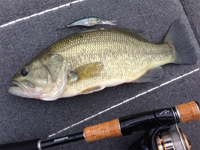 プロショップオオツカ バスフィッシング用品ネット通信販売 ブログ写真 2013/10/17