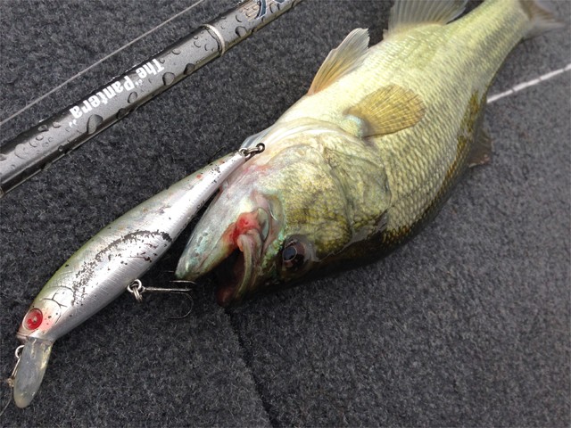 プロショップオオツカ バスフィッシング用品ネット通信販売 ブログ写真 2013/10/17