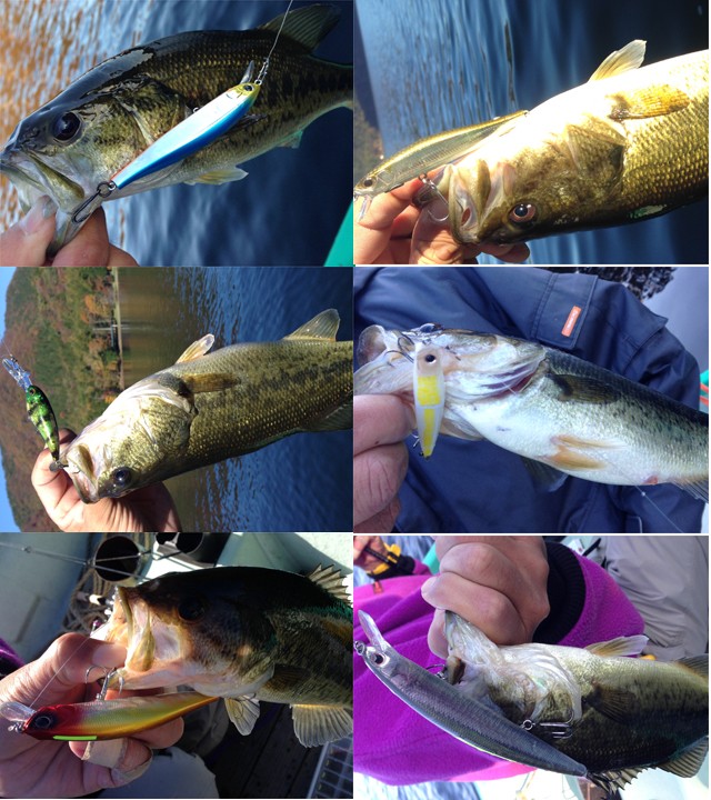 プロショップオオツカ バスフィッシング用品ネット通信販売 ブログ写真 2013/10/30