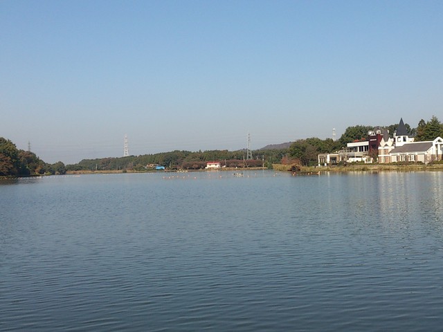 プロショップオオツカ バスフィッシング用品ネット通信販売 ブログ写真 2013/11/07