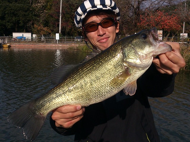 プロショップオオツカ バスフィッシング用品ネット通信販売 ブログ写真 2013/11/07