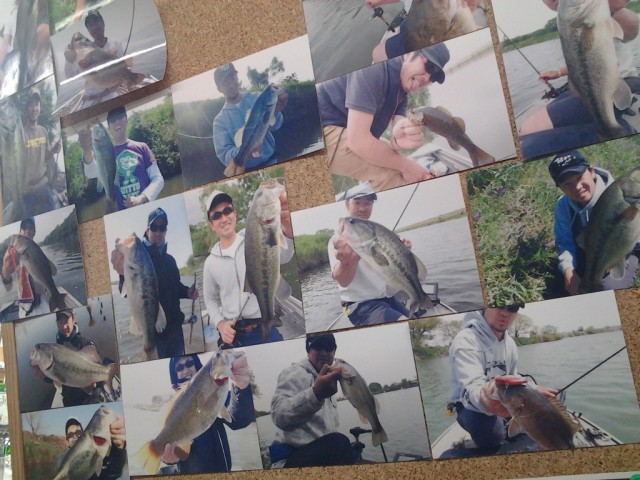 プロショップオオツカ バスフィッシング用品ネット通信販売 ブログ写真 2013/12/31