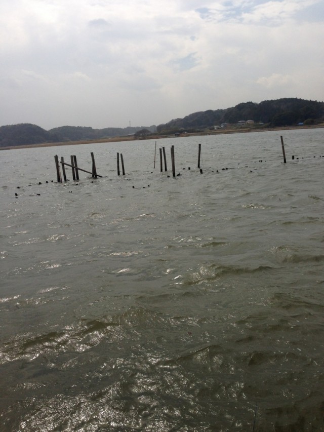 プロショップオオツカ バスフィッシング用品ネット通信販売 ブログ写真 2014/03/21