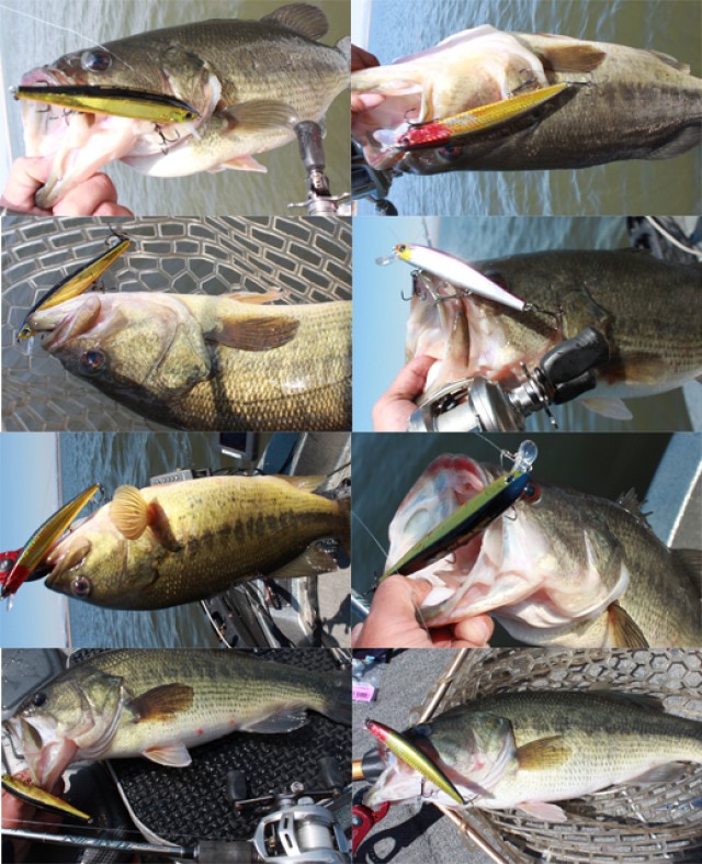 プロショップオオツカ バスフィッシング用品ネット通信販売 ブログ写真 2014/04/23