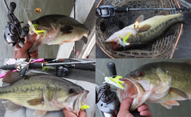 プロショップオオツカ バスフィッシング用品ネット通信販売 ブログ写真 2014/04/23