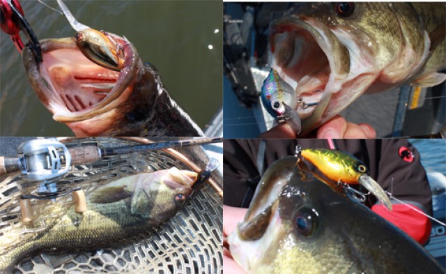 プロショップオオツカ バスフィッシング用品ネット通信販売 ブログ写真 2014/04/23