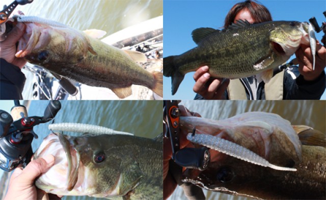 プロショップオオツカ バスフィッシング用品ネット通信販売 ブログ写真 2014/04/23