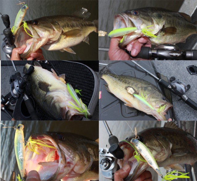 プロショップオオツカ バスフィッシング用品ネット通信販売 ブログ写真 2014/04/23