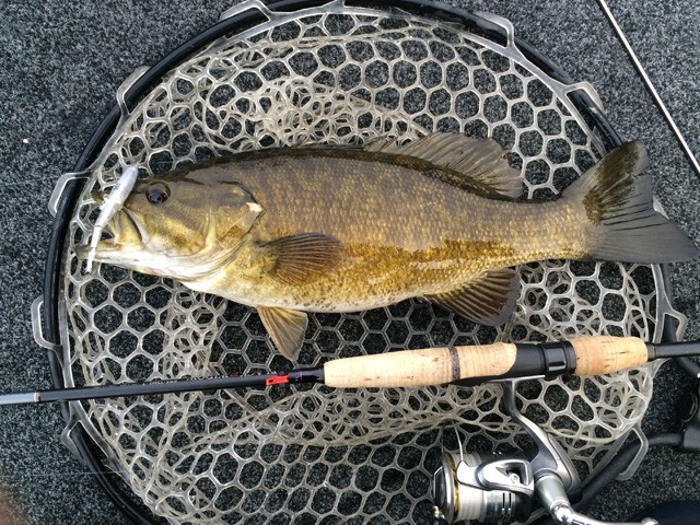 プロショップオオツカ バスフィッシング用品ネット通信販売 ブログ写真 2014/04/28