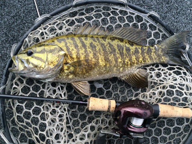 プロショップオオツカ バスフィッシング用品ネット通信販売 ブログ写真 2014/04/28