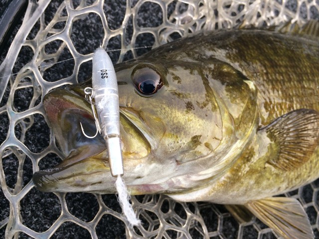 プロショップオオツカ バスフィッシング用品ネット通信販売 ブログ写真 2014/04/28